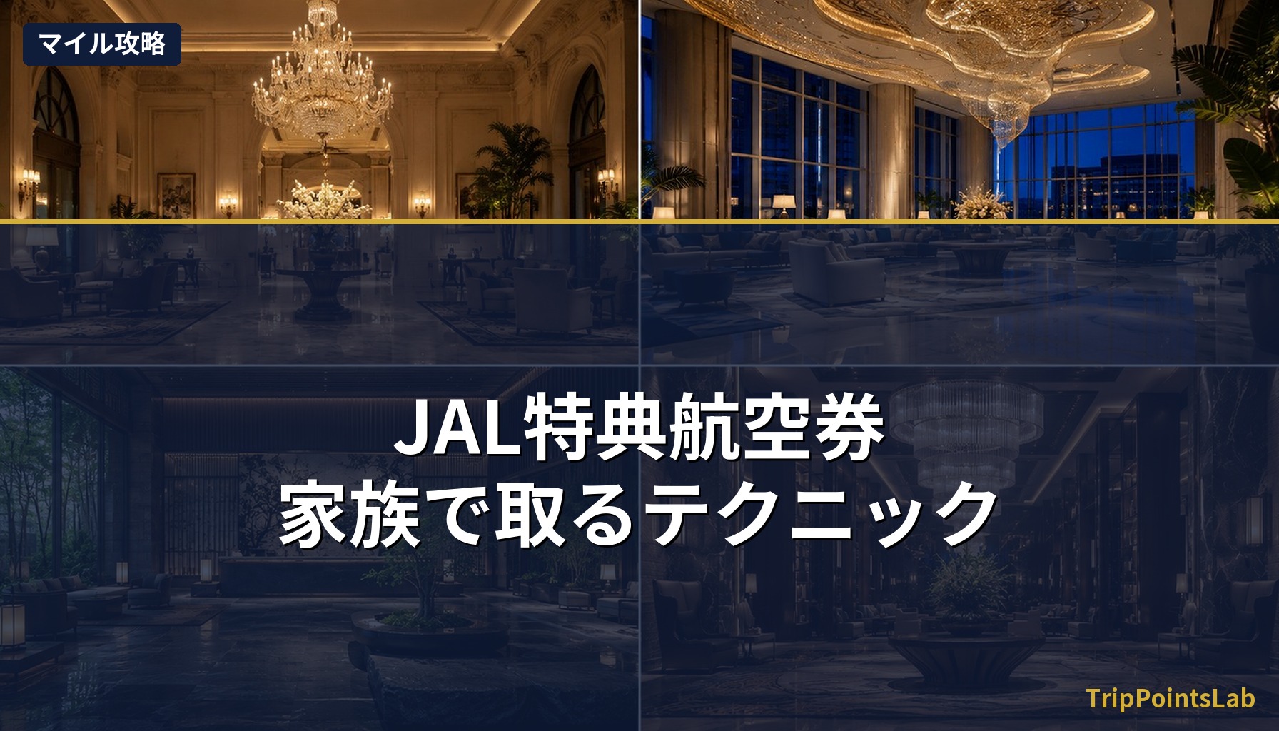 JAL特典航空券・家族で取るテクニック